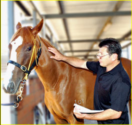 Lou Luciani With Horse